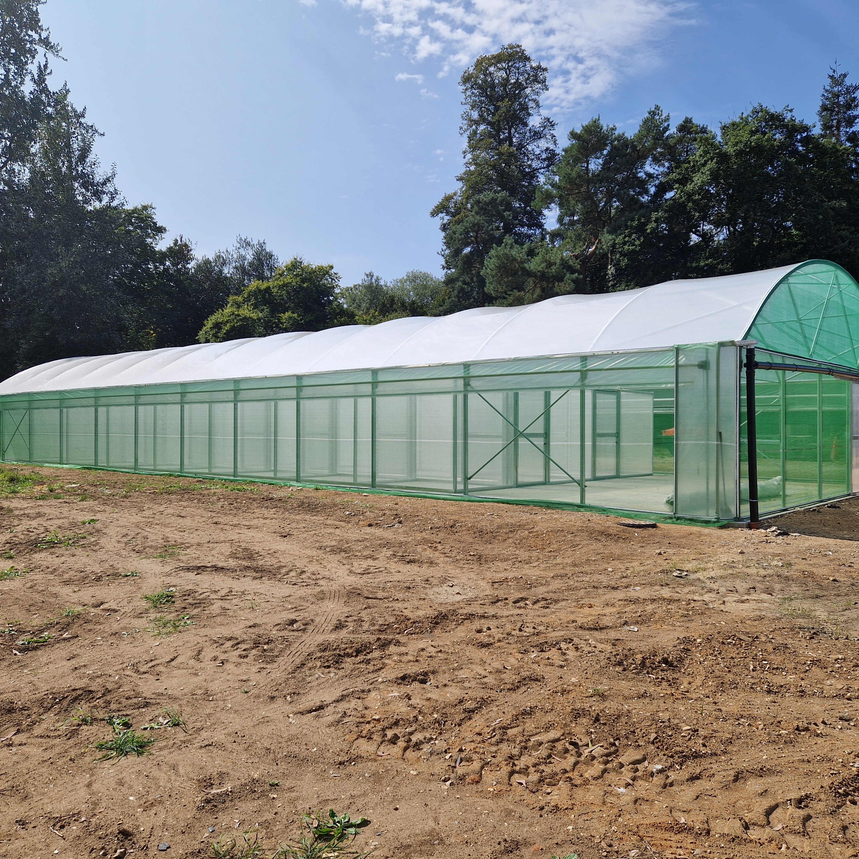 University of Reading Insect Tunnel – Multi-Pod Polytunnel Greenhouse 5