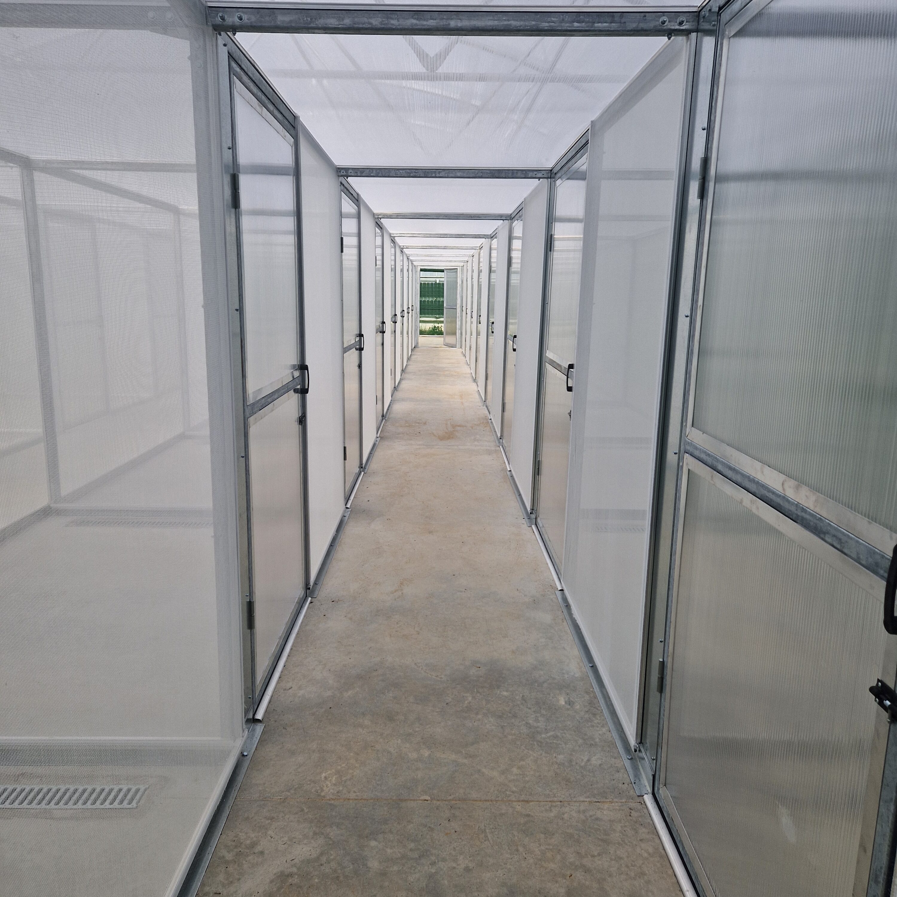 University of Reading Insect Tunnel – Multi-Pod Polytunnel Greenhouse 6