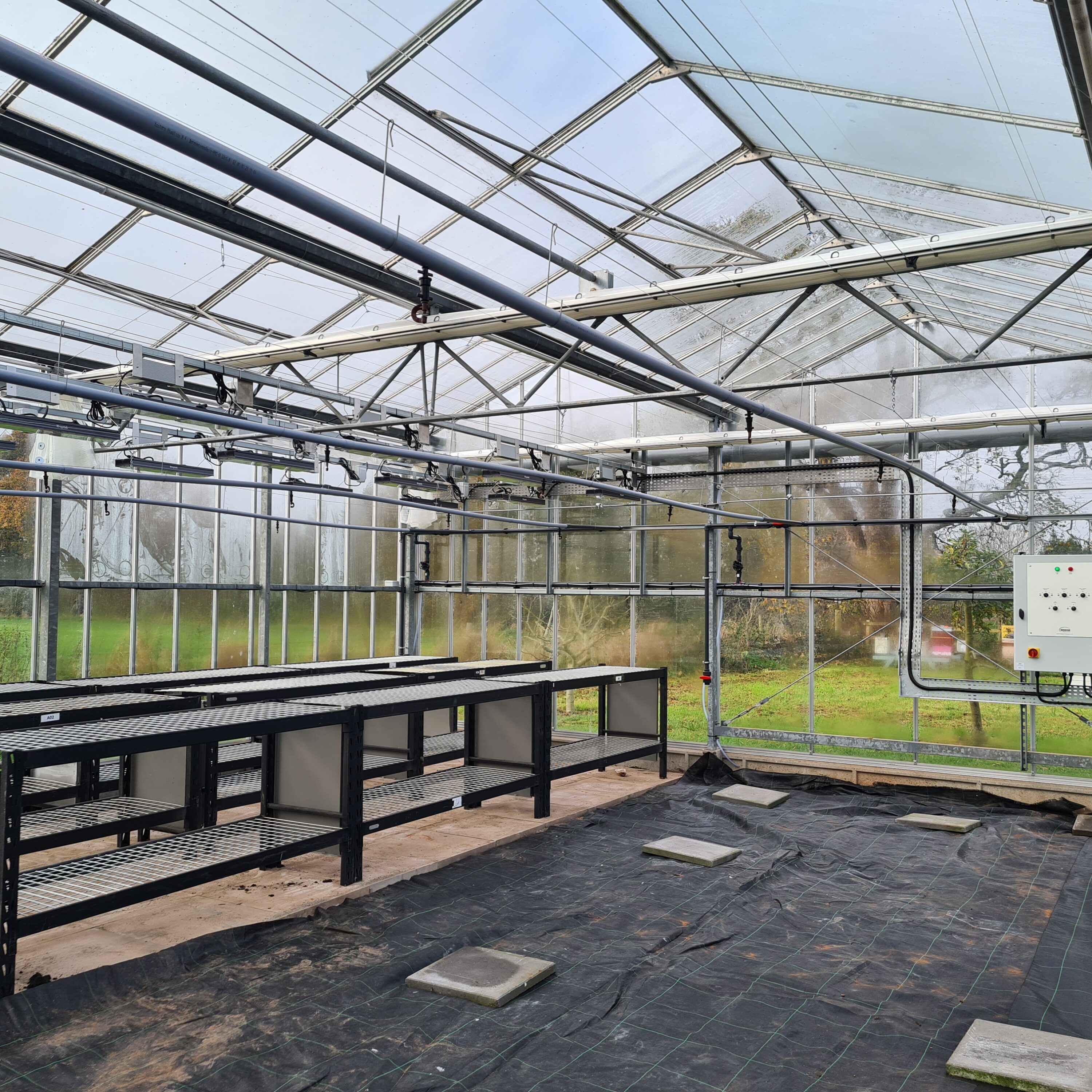 Sharief Healthcare – repurposed Venlo glasshouse installation